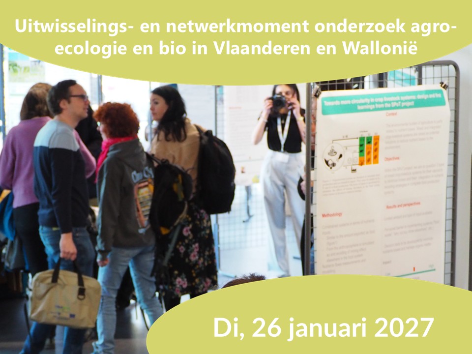 Uitwisselingsmoment Vl-Wal_2025