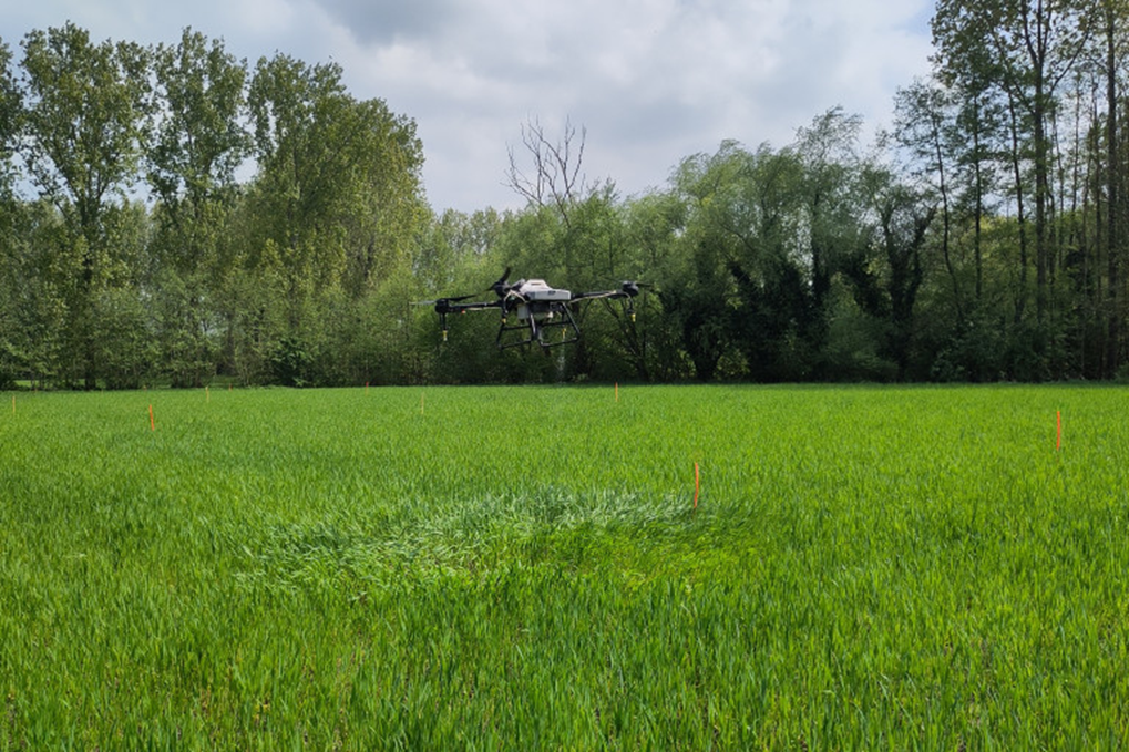 Proef OH-FINE Innoculanten